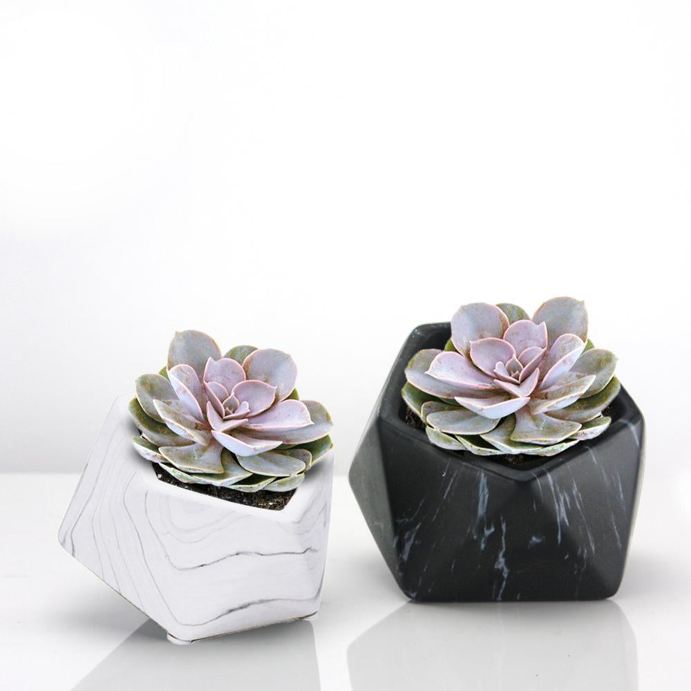 Pot de fleurs d'intérieur en céramique effet marbre