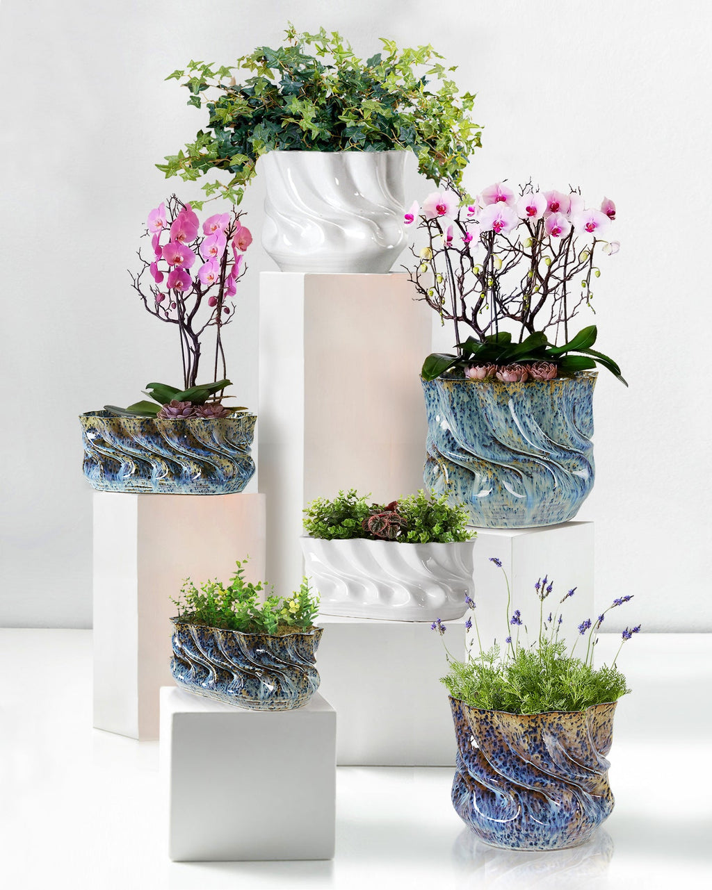 Jardinière Marées Océaniques