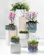 Jardinière Marées Océaniques