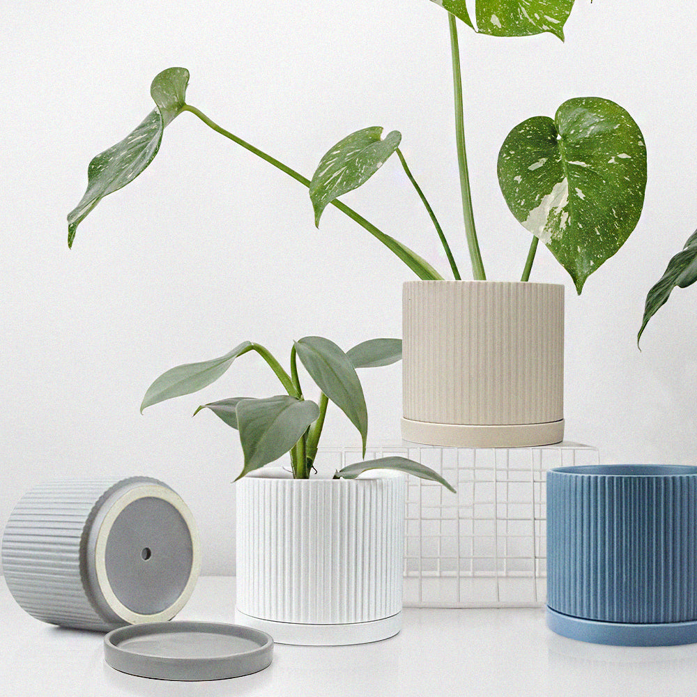 Pot en céramique cannelée avec soucoupe