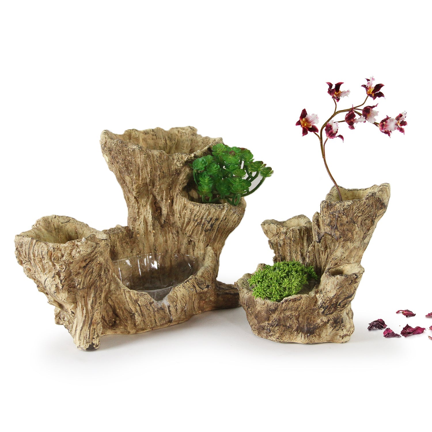 Bol décoratif arboricole