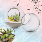 Terrarium en verre