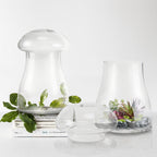 Terrarium à champignons