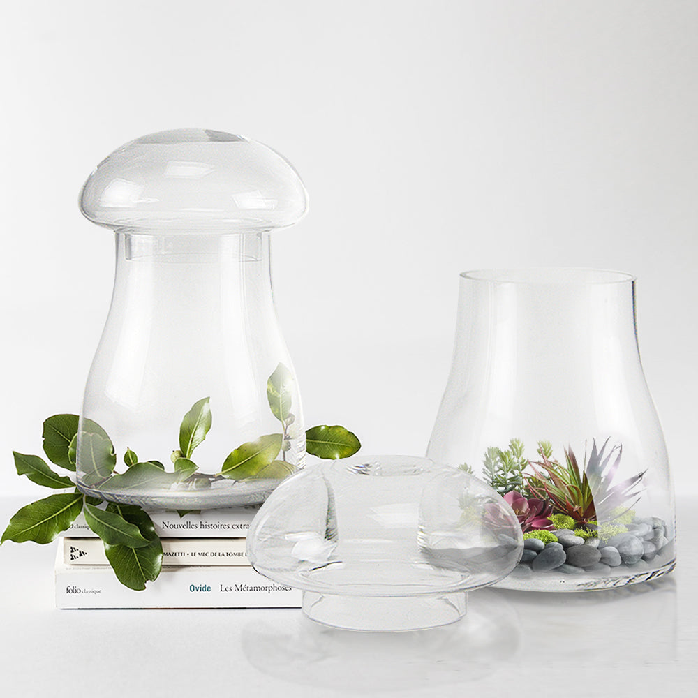 Terrarium à champignons