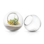 Terrarium en verre
