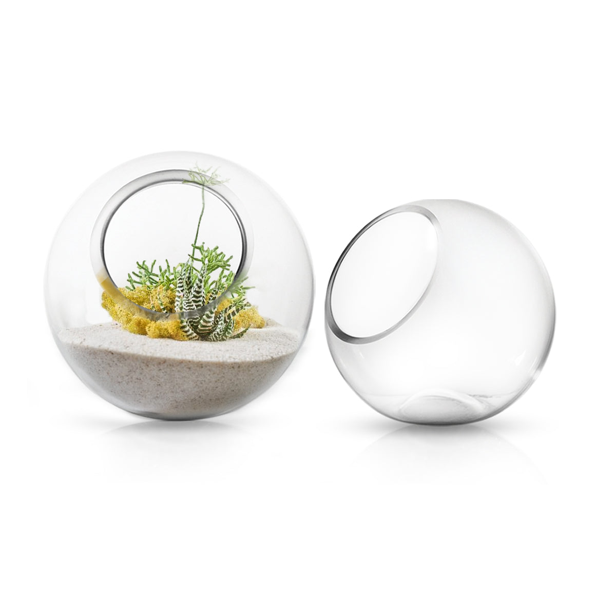 Terrarium en verre