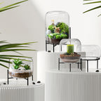 Vase terrarium en verre Mousseaux