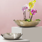 Plat peu profond en métal Pangea