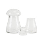 Terrarium à champignons