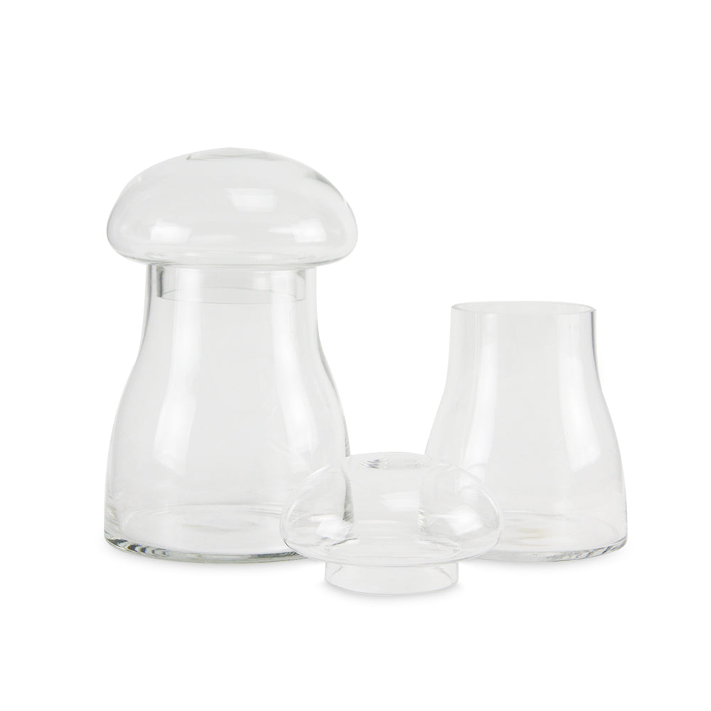 Terrarium à champignons