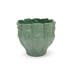 Éclosion de la fleur