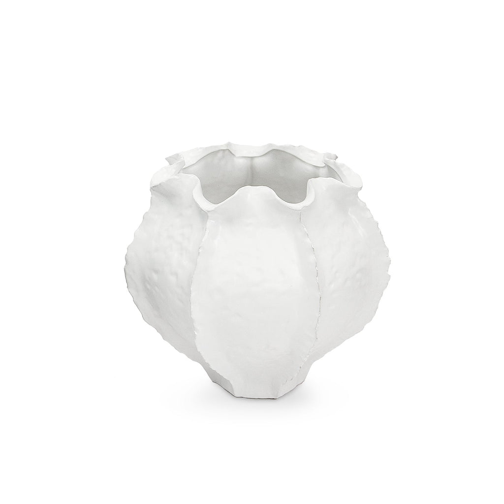 Élégance enracinée