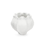 Élégance enracinée