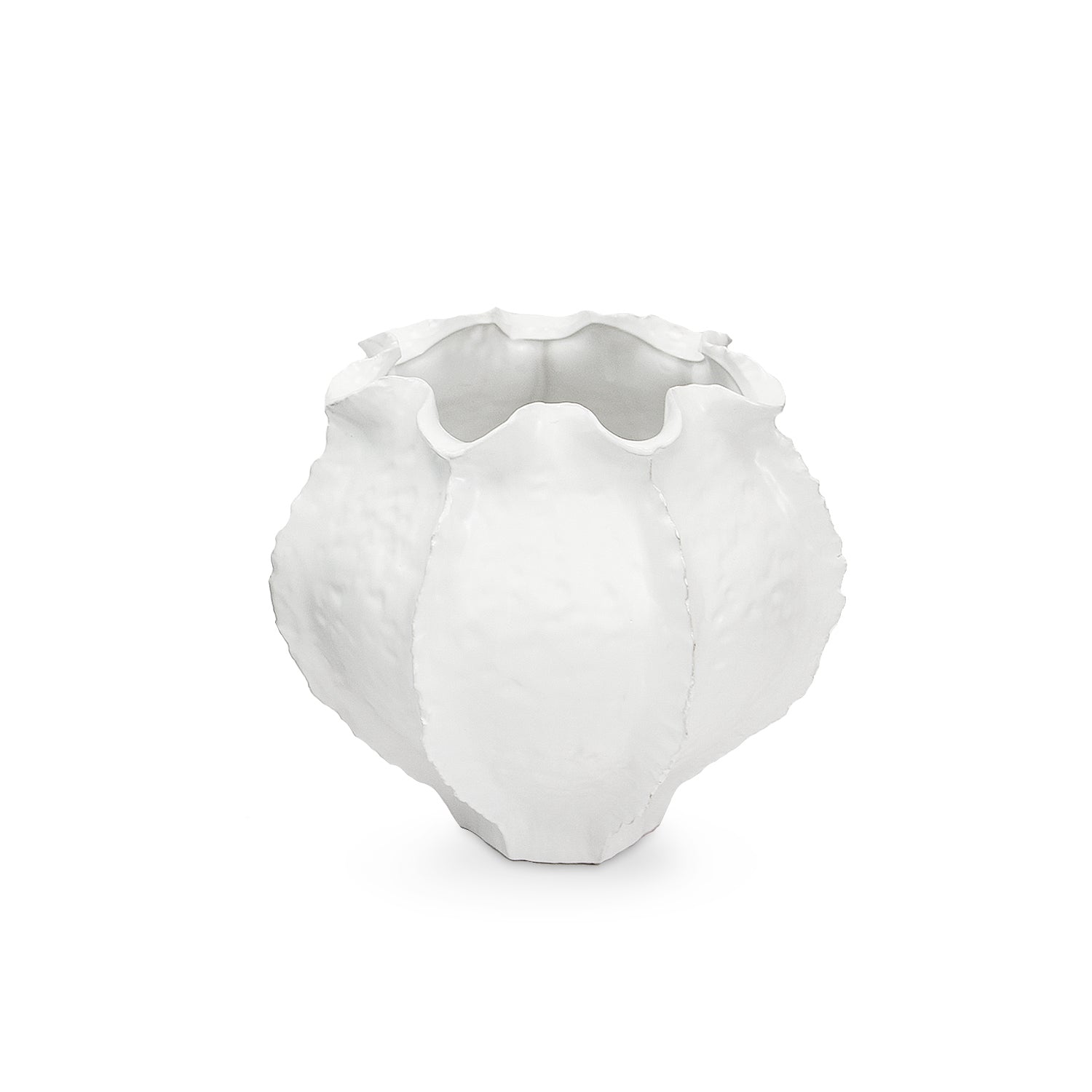 Élégance enracinée