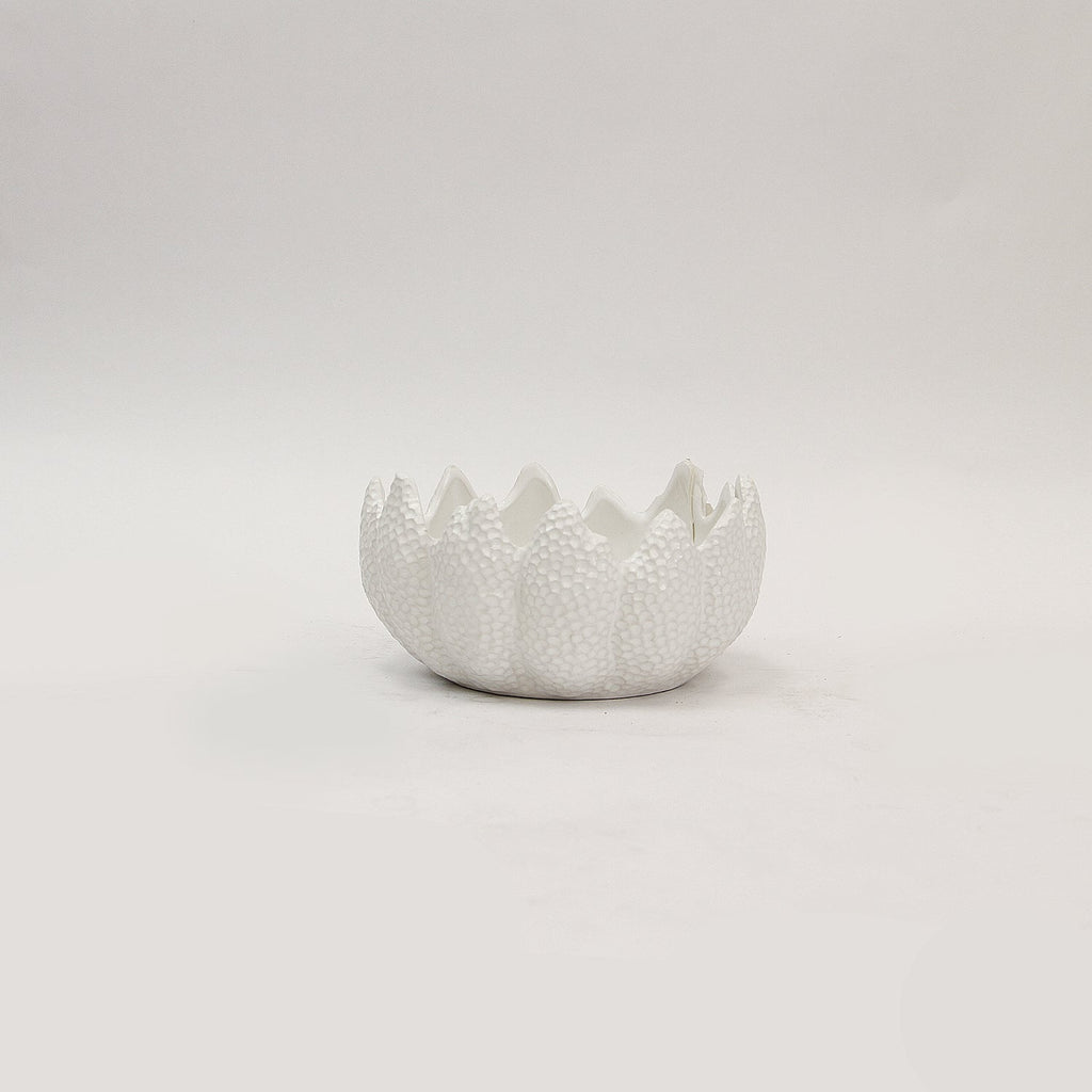 Jardinière Aurora Crest