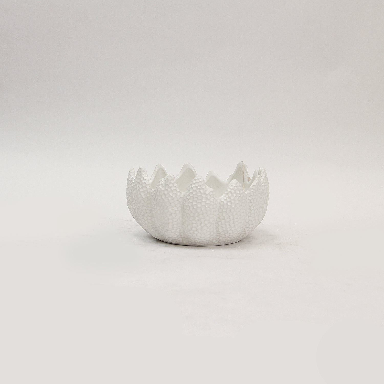 Jardinière Aurora Crest