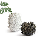 Vase en forme de récif