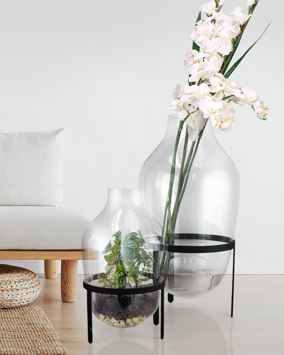 Vase de sol en verre