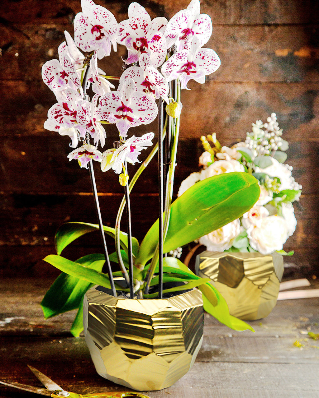 Pot en céramique brillant d'intérieur