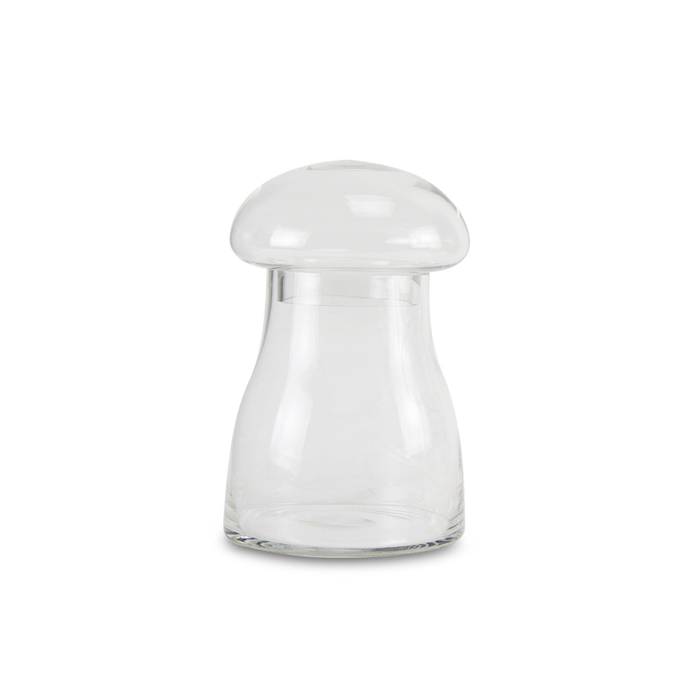 Terrarium à champignons