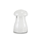 Terrarium à champignons