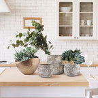 Pot en céramique fossilisée