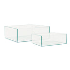 Aquarium floral à miroir réversible