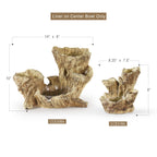 Bol décoratif arboricole