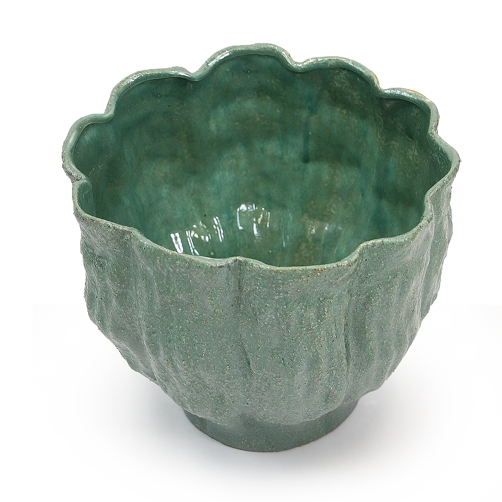 Éclosion de la fleur