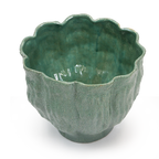 Éclosion de la fleur