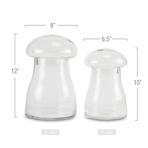 Terrarium à champignons