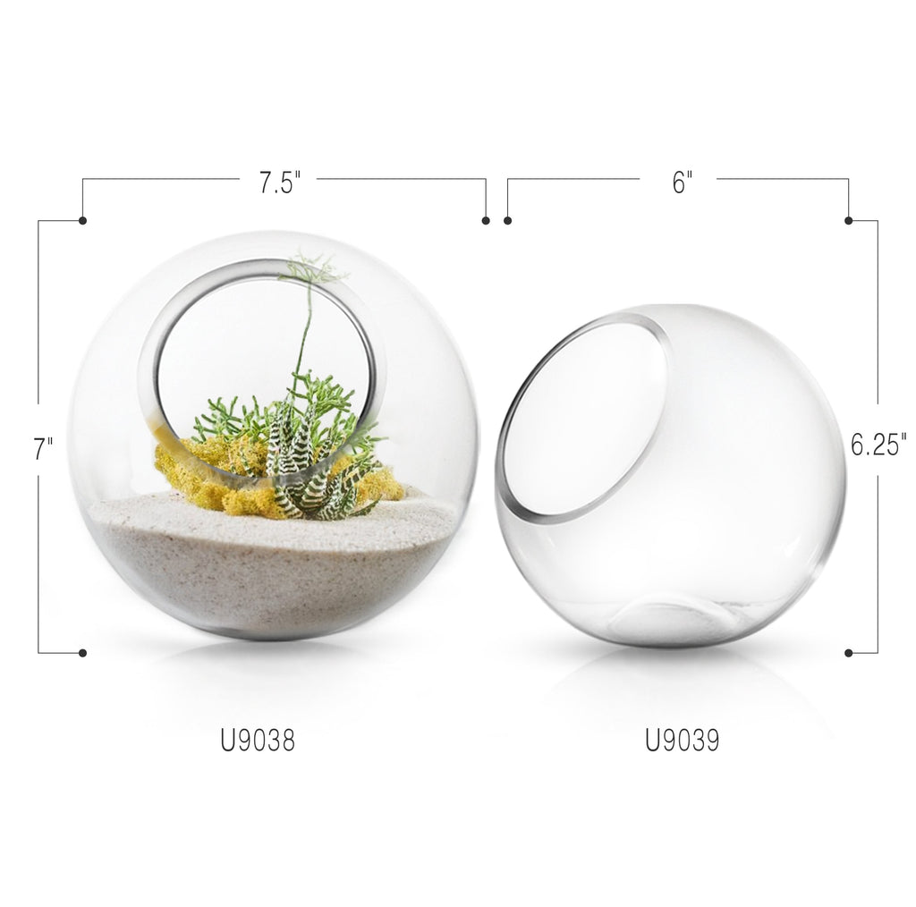 Terrarium en verre