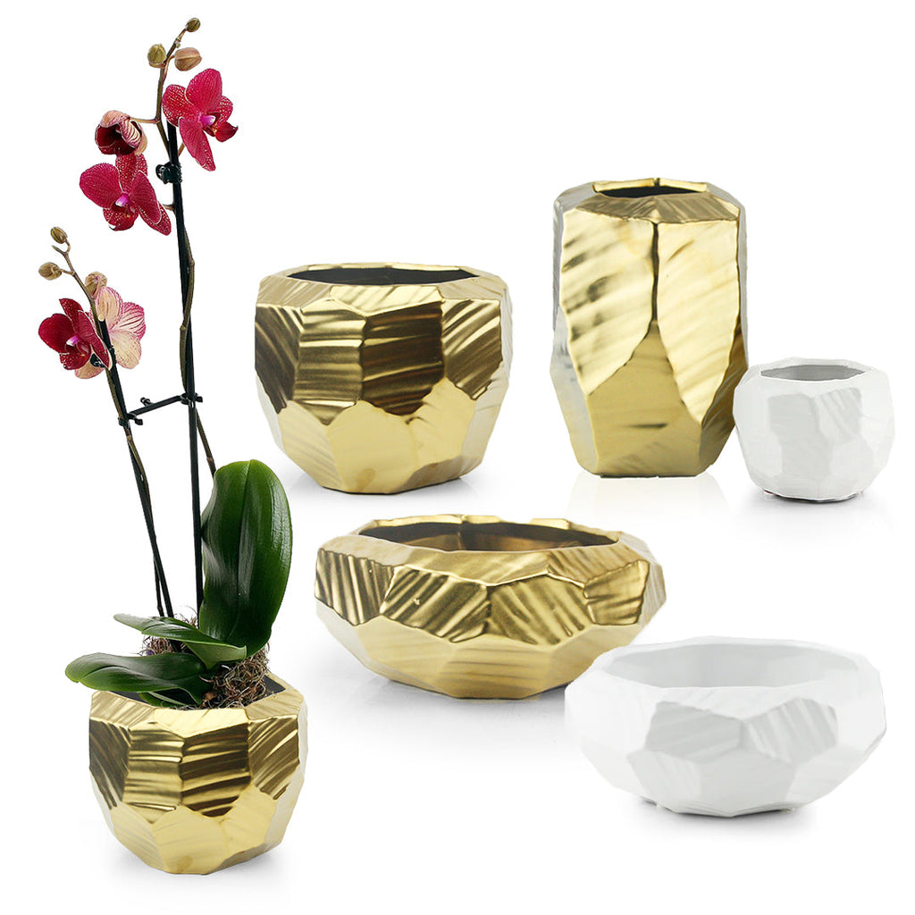 Pot en céramique brillant d'intérieur