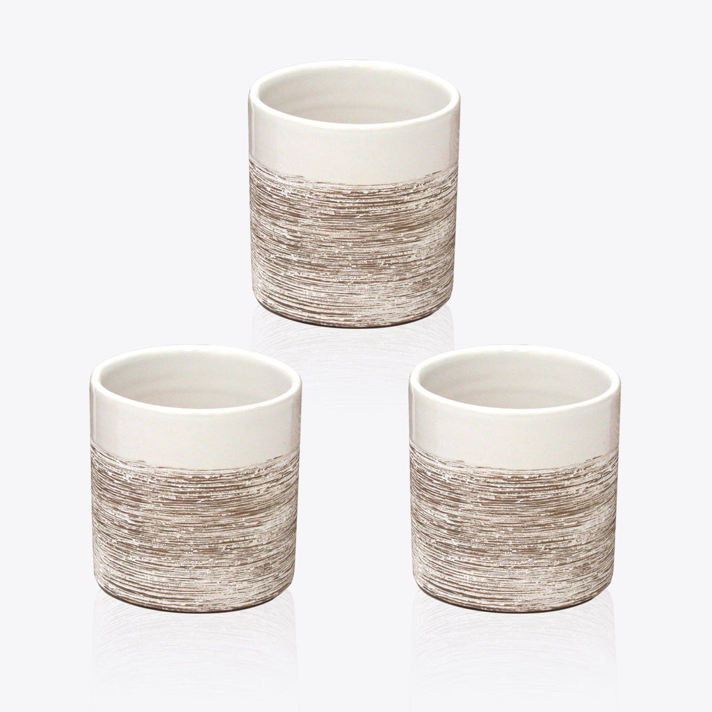 Pot en céramique d'intérieur à dégradé