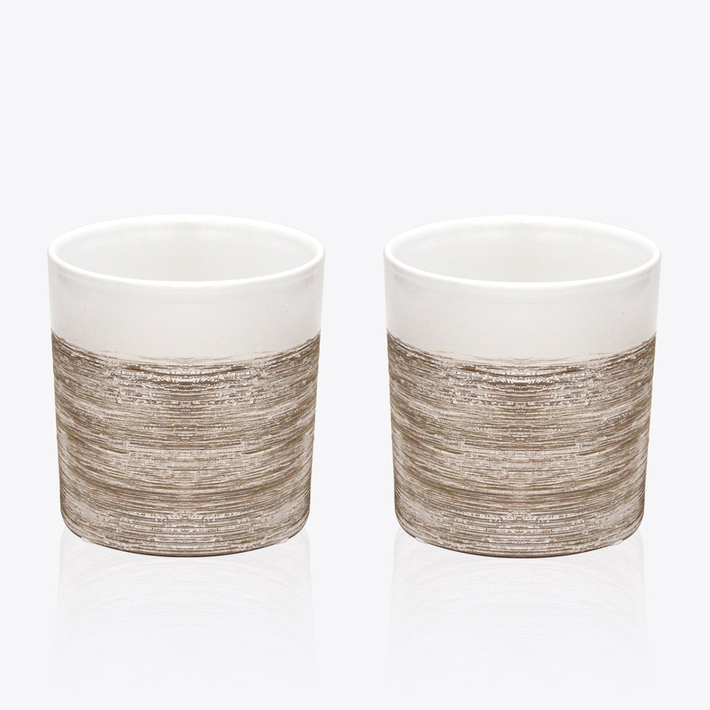 Pot en céramique d'intérieur à dégradé