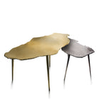 Table d'appoint ignée