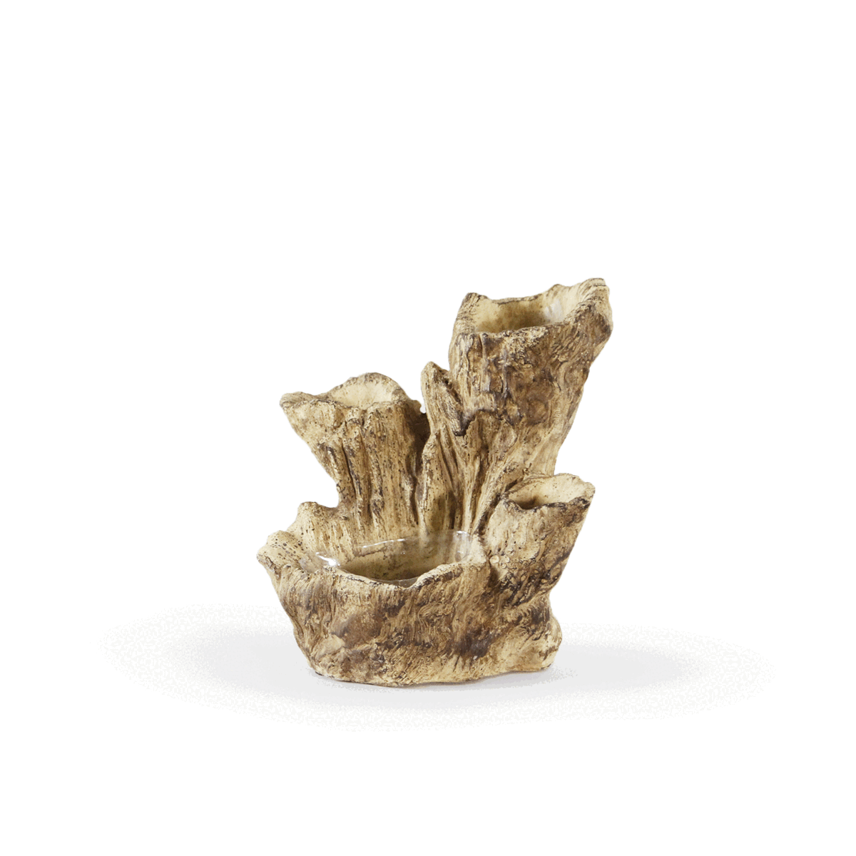 Bol décoratif arboricole