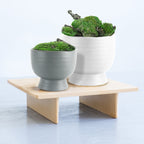 Pot en céramique court du milieu du siècle