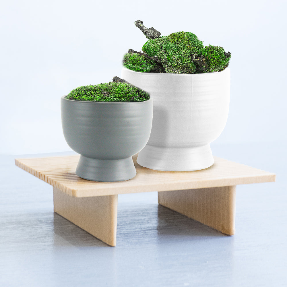 Pot en céramique court du milieu du siècle