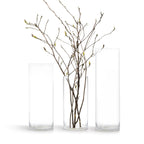 Cylindre en verre de qualité supérieure (lot de 2)